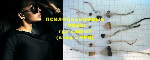 хмурый Богородск
