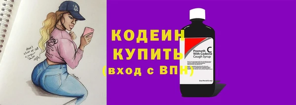 хмурый Богородск